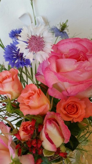 20150522_155021_resized (2)