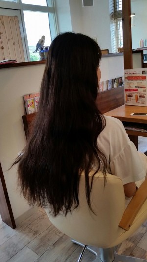 20150530_152337_resized