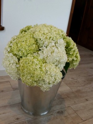 IMG_20150607_141951_resized (5)