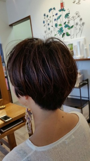 20150903_111032_resized