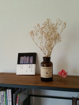 IMG_20150904_122104_resized (1)