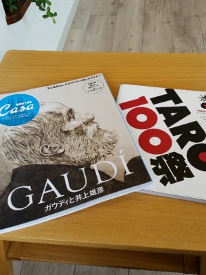 IMG_20150923_130546_resized