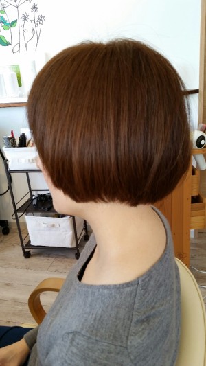 20151025_112221_resized (8)