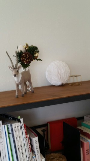 20151101_112635_resized (6)