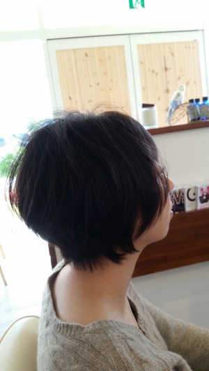 20151105_112156_resized (1)