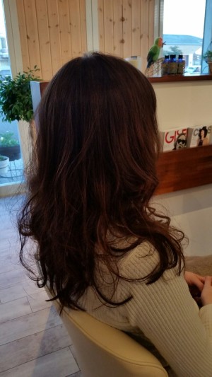 20151205_162502_resized